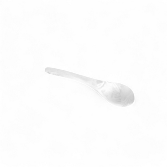 S & P Small Spoon